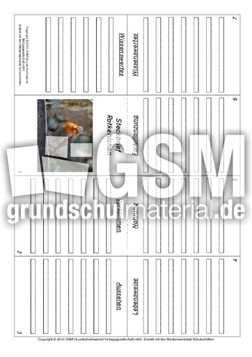 Faltbuch-Rotkehlchen.pdf